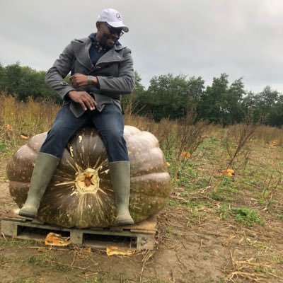 herbman16's profile picture. Engineers never Fail, They resign.☝️☝️🇿🇼🇬🇧 #CCC