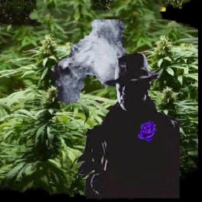 BobStoneQuest's profile picture. Self appointed cannabis connoisseur. The TЯ☭MP legacy must move to the past. Get out & VOTE BLUE, save our future! 🌎 #Resistance #Cannabis #Legalizeit #FBR 🐝