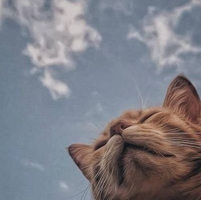 BuongiornoGabby's profile picture. Always and forever