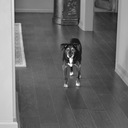 scott dexter - @scotty_dexter - Twitter