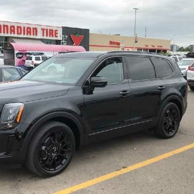 FreedomLuv007's profile picture. Let Luv guide you not Fear
Businessman