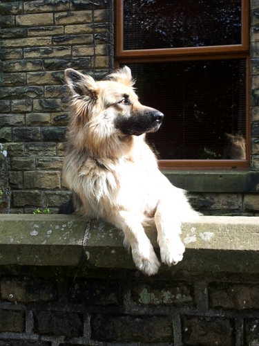 rcorry's profile picture. Multiple secondary school leadership positions, single father, wishing education was flexible. Enjoy yourself, you only get one shot.