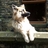 rcorry's profile image