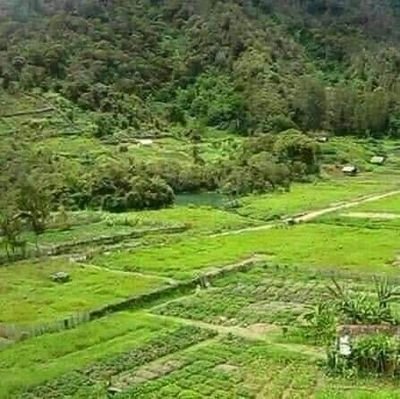 DekiBunai10's profile picture. 