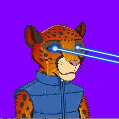 antiscialpatrik's profile picture. NFT | sports | crypto holder @CCrewNFT @CreamyFriends