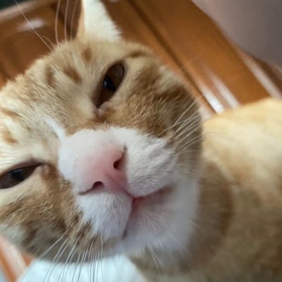 Marina_xiaxia's profile picture. anything