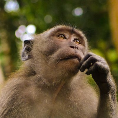 mkt_fury's profile picture. Life Is Poker, Not Chess