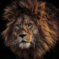 The ObserVer (@toomuchgoing_on) 's Twitter Profile