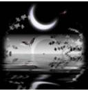 SALIM RAMIREZ H - @SALIM1959 - Twitter