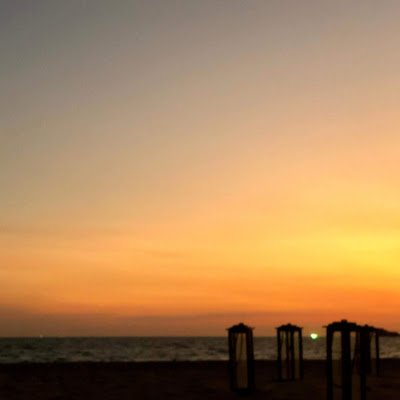 4_springenergy's profile picture. 