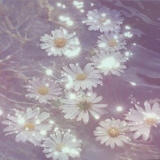 Wren_qe's profile picture. (•_•)/
I write and draw things I guess