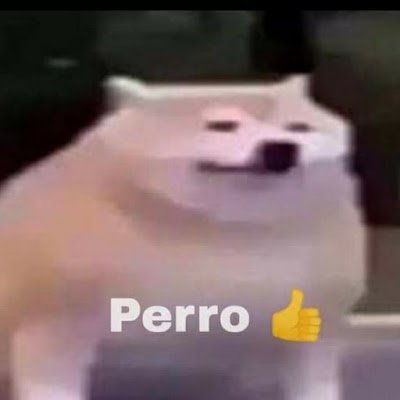 CesarIsraelAlv7's profile picture. 