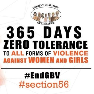 The End Violence Against Women and Girls is a campaign aimed at calling for the ending of all forms of violence in the different spheres