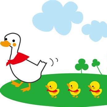 first_privacy's profile picture. 🦆Privacyを取り戻す🔥