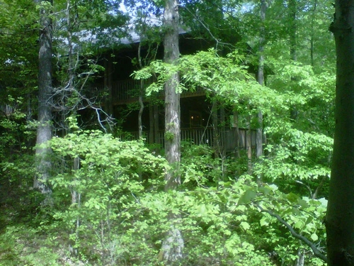 HermitBob_GA's profile picture. 