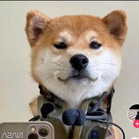 小柴 (@tbjan7657) 's Twitter Profile Photo 小柴 (@tbjan7657) 's Twitter Profile Photo