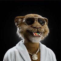 UncleAntoha (@uncleantoha) 's Twitter Profile
