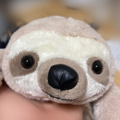 zuttonamakemono's profile picture. 大切なものだけに囲まれたミニマリストになりたい。