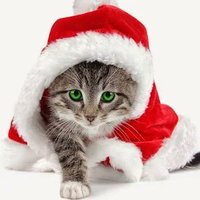 FDANIELVG 🐂⭕ (@frandanvg) 's Twitter Profile Photo