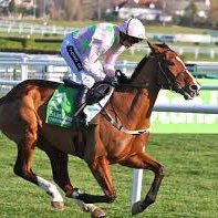 Tipster of most sport . Most profitable sports are rugby and gaa . Most knowledgeable sports include horse racing gaa rugby soccer ,darts . Free tips for feb