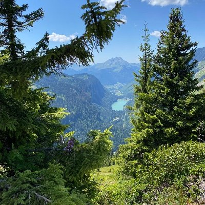 11x_JK's profile picture. 