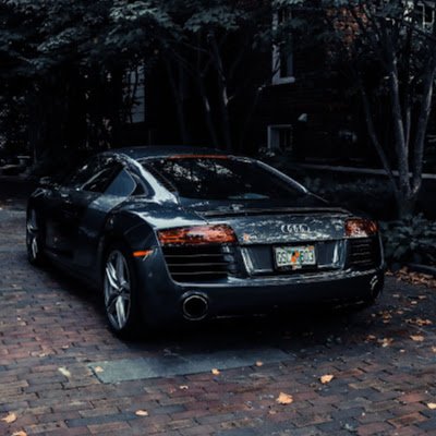 DanyCamm's profile picture. 