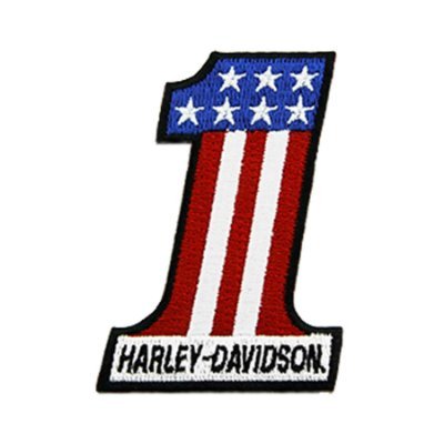 Obsessed with Harley-Davidson motorcycles from all eras

#harleydavidson #harleylife #harleyriders