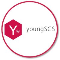 youngSCS(@youngSCS1) 's Twitter Profile Photo