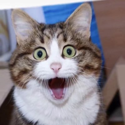 ASWAZJ's profile picture. 日常分享