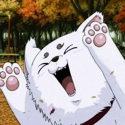 얀💫さんのプロフィール画像
