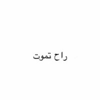 mohamed abdelbaset (@m64432096) Twitter profile photo