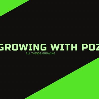 growingwithpoz's profile picture. also follow on IG @growing_with_poz