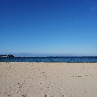 Maya l'abeille (@mayalab40667024) 's Twitter Profile Photo