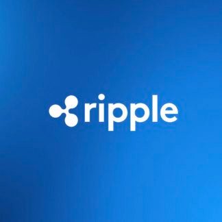 Xcoin_589's profile picture. 