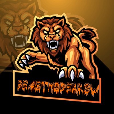 Beast Mode Kr3W is an awesome discord community made by small streamers FOR Small streamers.