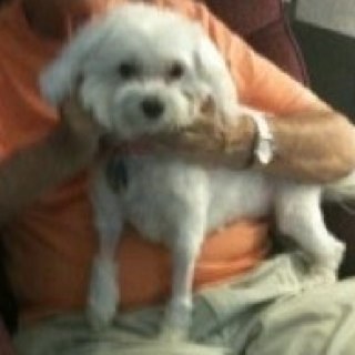 claw35's profile picture. 