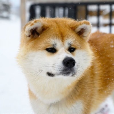 都内在住、公立高→東大法。
長男:2021E→都立中🌸
長女:2025W→都内私立女子中🌸
長男は公立中進学のつもりが小5冬に突然受検を志してから1年間の通塾で運良く合格。長女は高受のリスクを恐れて小3秋から通塾して都内の進学校に無事合格。主には娘の中学受験の記録用アカウントです。