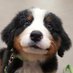 Hello World! (@eekeek77) Twitter profile photo Hello World! (@eekeek77) Twitter profile photo