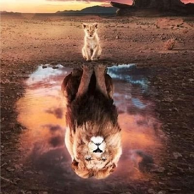 Activiste Ivoirien, et Panafricain engagé contre le néocolonialisme, la Francafrique, la corruption.
mobilisé pour une Afrique Nouvelle.