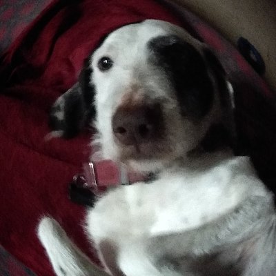 gurryrurry's profile picture. classicist
botanist
biblophile