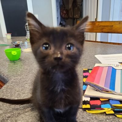 brianrepp's profile picture. 