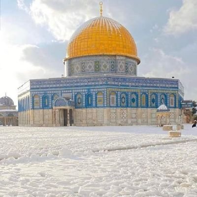 16O21998's profile picture. 🌻 لَاۤ أَبۡرَحُ حَتَّىٰۤ أَبۡلُغَ 🌻 | #البناء_المنهجي | #الإستهداء_بالقرآن | #تاج_الكرامة | #فلسطين_حرة |🌹اللهم انفعنا بما علمتنا وعلمنا ما ينفعنا