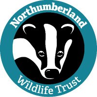 Northumberland Wildlife Trust(@NorthWildlife) 's Twitter Profile Photo