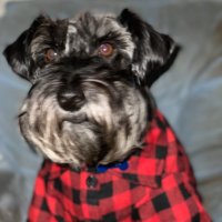 Dad’s crypto acct (@jerlmcc) Twitter profile photo