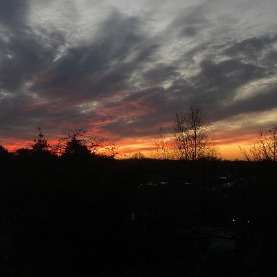 DeBinetti's profile picture. 