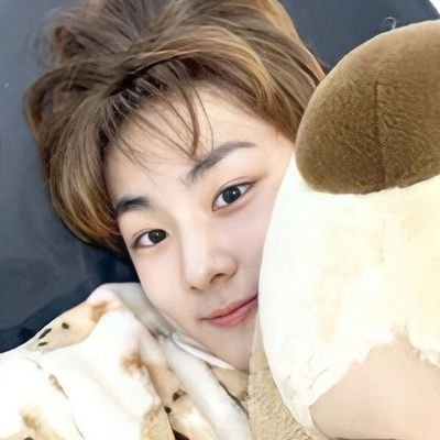 for @ENHYPEN_members | Jungwon’s noona🐈