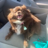 Bgeez (@bgeez6) 's Twitter Profile