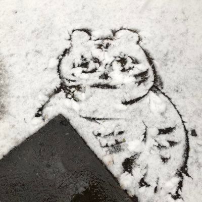 コウサカ　モトダイラさんのプロフィール画像