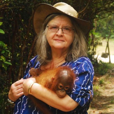 BiruteGaldikass's profile picture. Hey, Si exacto soy yo la señora experta en el comportamiento de los orangutanes 🦧 (cuenta educativa no oficial)