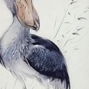 Shoe Bill (@shoebil11417412) 's Twitter Profile